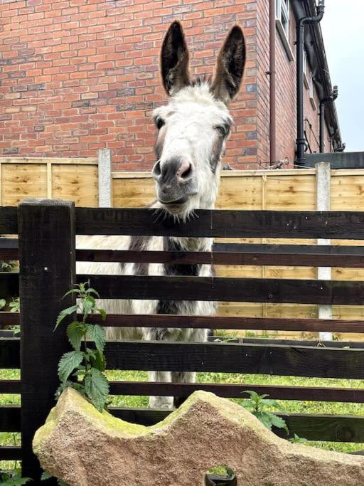 4 Bedroom - Sleep 9 Home In Cheadle Staffordshire - Alton Towers Polar Express Dimmingsdale Peak District Trentham Gardens Water World ภายนอก รูปภาพ
