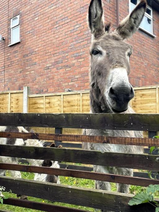 4 Bedroom - Sleep 9 Home In Cheadle Staffordshire - Alton Towers Polar Express Dimmingsdale Peak District Trentham Gardens Water World ภายนอก รูปภาพ
